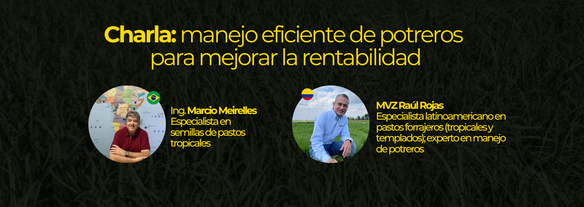 Palestra Internacional: Manejo Eficiente de Pastagens para Aumentar a Rentabilidade