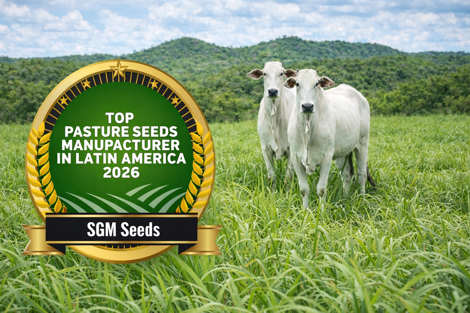 SGM Seeds é reconhecida como Top Pasture Seeds Manufacturer in Latin America 2026