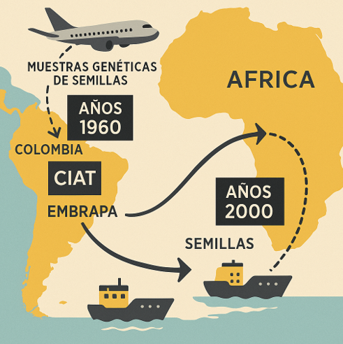 Da África para a América Latina: a base da inovação forrageira